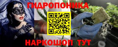 индика Коммунар