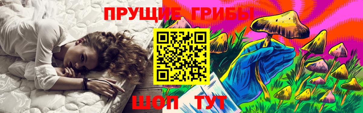 Псилоцибиновые грибы Psilocybe Конаково